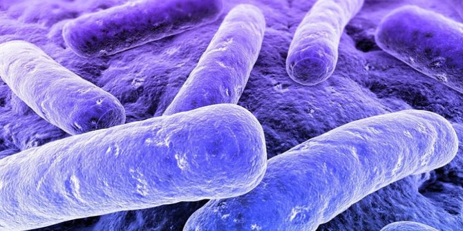 10 Fakta Unik tentang Sistem Kekebalan Tubuh Manusia