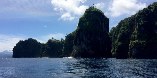 Pesohor Tanah Air Promosikan Pasar Teluk Halmahera Barat