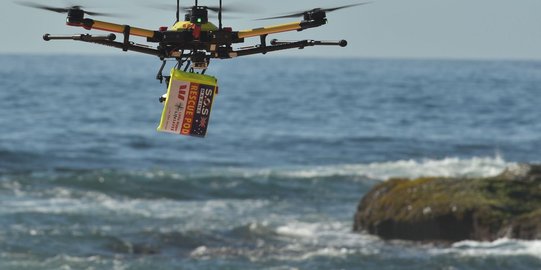 Perenang di Lepas Pantai Australia Tewas, Diduga Diserang Ikan Pari