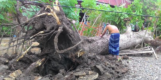 Diterjang Puting Beliung, 270 Rumah di Situbondo Rusak