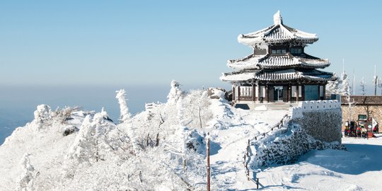 Musim Salju Tiba, Yakin Mau Melewatkan Destinasi Winter Terbaik di Korea?