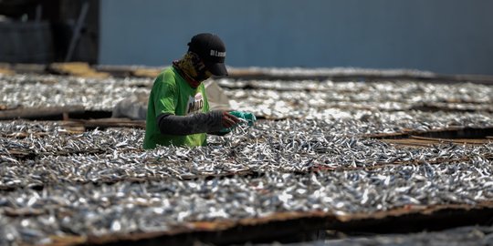 Memasuki Musim Hujan, Produksi Ikan Asin Menurun