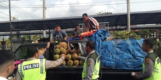 Selundupkan Motor Curian Dengan Ditutupi Durian, Haririn Ditangkap Polisi Gilimanuk