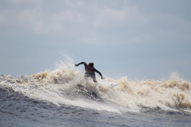 pembukaan bono surfing