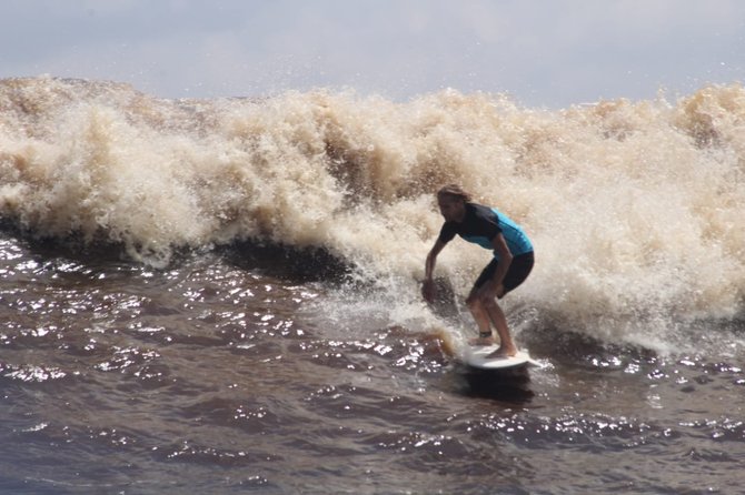 pembukaan bono surfing