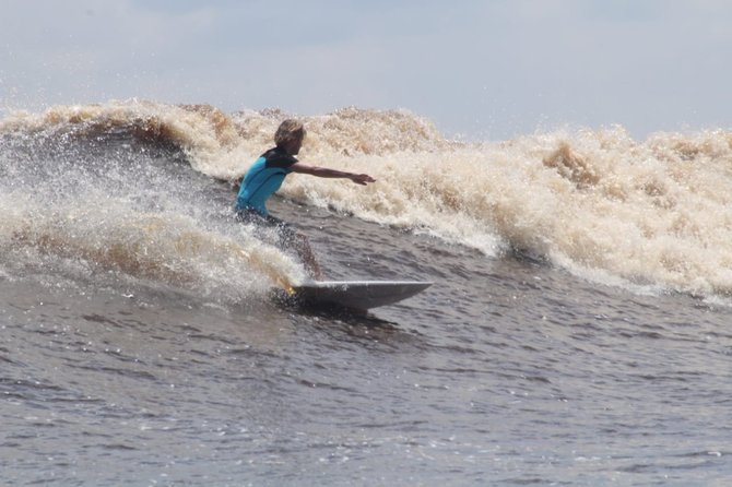 pembukaan bono surfing