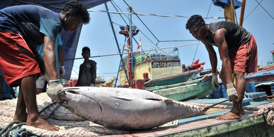 Cuaca Buruk, Tangkapan Ikan Nelayan Muara Baru Menurun