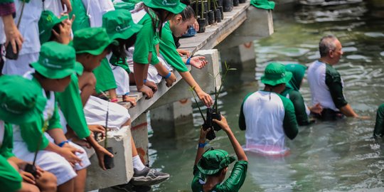 Antusiasme Anak-anak SD Tanam 100.000 Mangrove di Labirin Pulau Pramuka