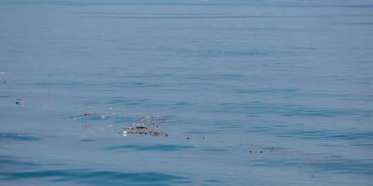 Perairan Kepulauan Seribu Kotor Oleh Sampah Kiriman