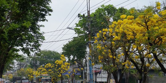 tahan segala cuaca rev2