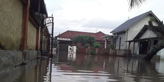Puluhan Rumah Warga di Jembrana Terendam Banjir