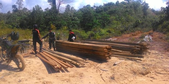 Kayu Illegal Logging Hutan Lindung Nunukan Disita, Pelaku Belum Terungkap