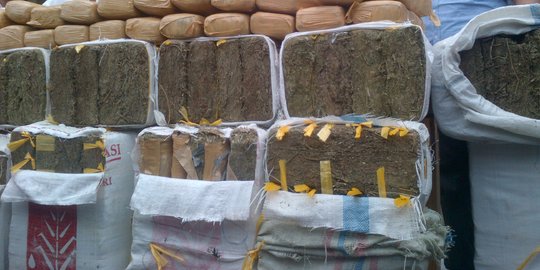 Polresta Banda Aceh Gagalkan Pengiriman 510 Kg Ganja ke Jakarta