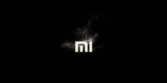 Xiaomi Bakal Bawa Promo saat Harbolnas 12/12