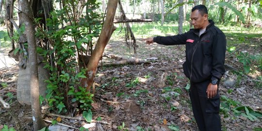 Fajar Sempat Perkosa Eka Sebelum Membunuhnya di Ladang Warga Boyolali