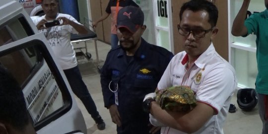 Mahasiswi di Kupang Bunuh Bayi, Polisi Dalami Keterlibatan Kekasih Tersangka