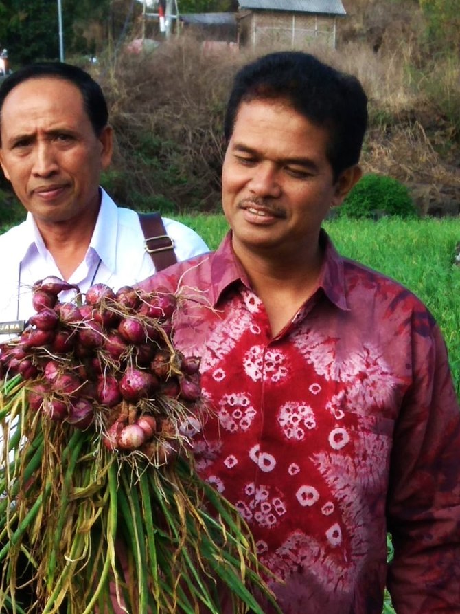 direktur jenderal dirjen hortikultura kementerian pertanian kementan suwandi