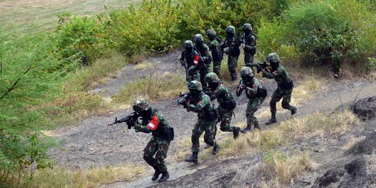 DPR dorong TNI & Polri Kirim Pasukan Elite Tumpas Pemberontak di Papua