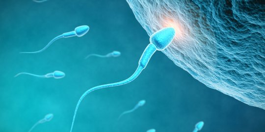 Sperma Keluar Tanpa Rangsangan? Ini Penjelasannya