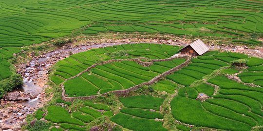 DPR: Program Cetak Sawah Kita Dukung Asal Dilakukan Tepat Sasaran