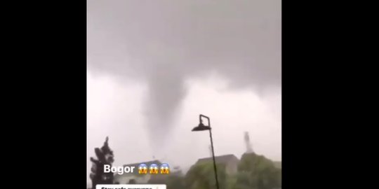 Angin Kencang Terjang Bogor, Banyak Pohon dan Bangunan Rusak