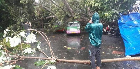 Angin kencang di Bogor, satu pengendara mobil tewas tertimpa pohon
