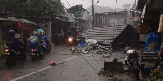 Dihantam Puting Peliung, Sejumlah Jalan Kota Bogor Ditutup