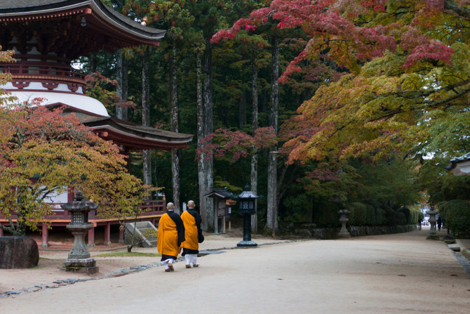 jangan lewatkan 5 tempat unik ini saat liburan di jepang