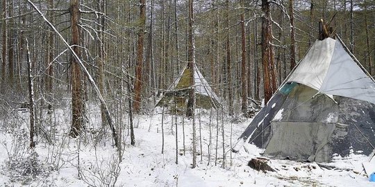di tengah hutan mongolia rp1700000 rev3