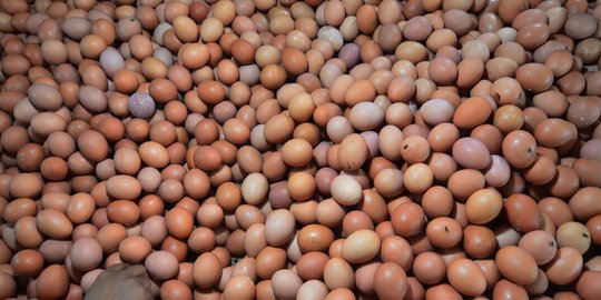 Survei BI: Inflasi Awal Desember 0,3 Persen Dipicu Naiknya Harga Telur Ayam Ras