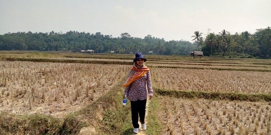 20 Ribu Ha Sawah Petani di Karawang Diasuransikan, Petani: Kami Tidak Resah Lagi