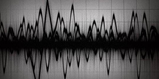 Bengkulu Diguncang Gempa Magnitudo 5,0, Tak Berpotensi Tsunami