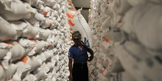 Bulog Pastikan Stok Beras Cukup Hingga 14 Bulan