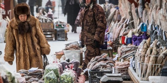 Mengunjungi Pasar Bersuhu Minus 35 Derajat Celcius