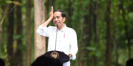 Rekomendasi Komnas HAM kepada Jokowi: Dipatuhi, Diperkuat hingga Revisi UU
