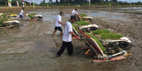 Pengamat: Kritik Data Pangan dan Anggaran Kementan Salah Alamat