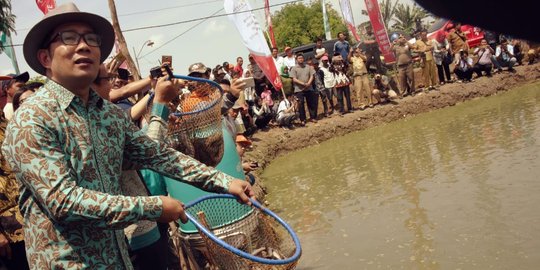 Luncurkan Desa Digital, Ridwan Kamil Ingin Cegah Warga Desa Hijrah ke Kota