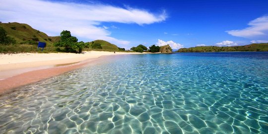 Usulan Harga Tiket Pulau Komodo Tidak Masuk Akal