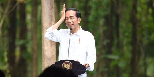 Presiden Jokowi Batal Datang ke Komnas HAM, Wapres JK Minta Maaf