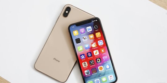 dan xs max rev1