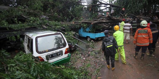 Pohon Tumbang Timpa Sejumlah Mobil di Ciputat