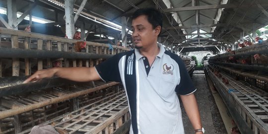 Peternak Ayam Blitar Masih Keluhkan Tingginya Harga Pakan Jagung