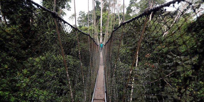 Ekstremnya Jembatan di Taman Nasional Kakum yang Bikin Kaki Lemas