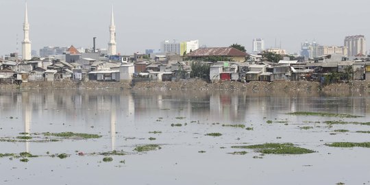 Kurang Perawatan, Eceng Gondok Kembali Tumbuh di Waduk Pluit