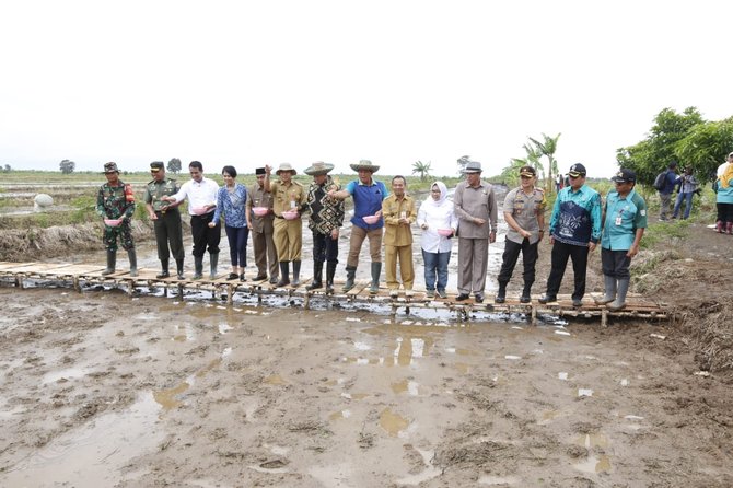 kementan proyeksikan kalsel jadi lumbung pangan di luar jawa