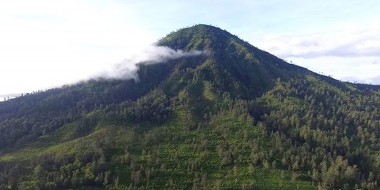 di banyuwangi rev1