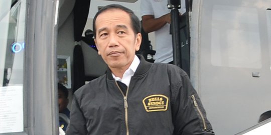Jokowi: Sejarah Baru Transportasi Indonesia Tersambung dari Merak ke Pasuruan