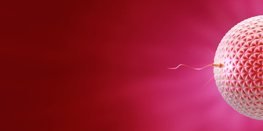 Perubahan Gaya Hidup Pria Selama 3 Bulan Bisa Langsung Perbaiki Kualitas Sperma