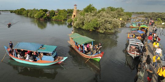 Menikmati Wisata Hutan Mangrove di Bekasi