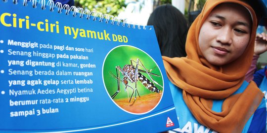 Dalam Sebulan, 3 dari 45 Pasien DBD di Samarinda Meninggal